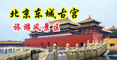 用大jb猛插骚逼直播视频中国北京-东城古宫旅游风景区