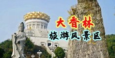 粉色骚逼视频国产网站中国浙江-绍兴大香林旅游风景区