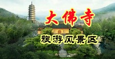 免费看躁屄视频网站动态中国浙江-新昌大佛寺旅游风景区